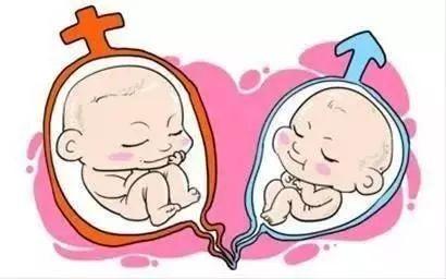 体外受精 IVF-ET